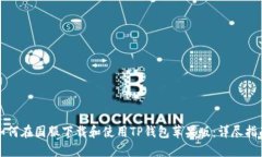 如何在国服下载和使用T